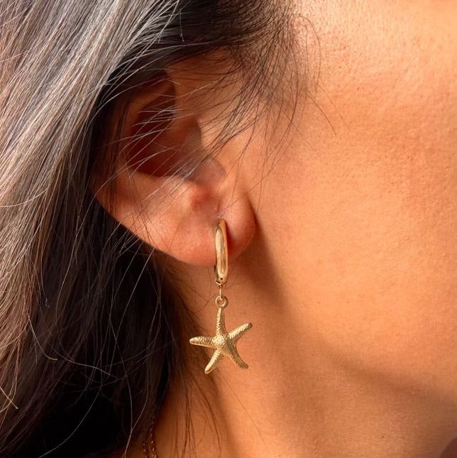 starfish earrings